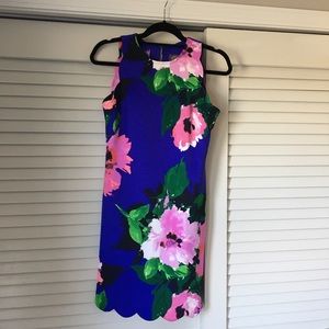 Scalloped Vince Camuto floral Dress NWT Size 2